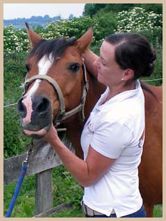 `Hand ans Pferd` Pferdeosteopathie - Test der Streckung des oberen Kopfgelenks